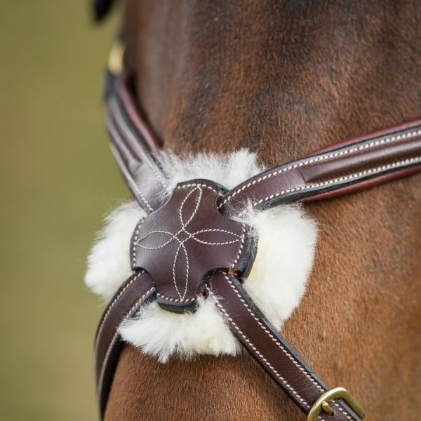 HFI hoofdstel Mexican - Equistyle